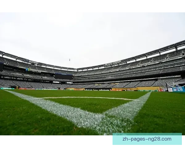 2026世界杯决赛场纽约新泽西体育场草坪改造以符合FIFA标准